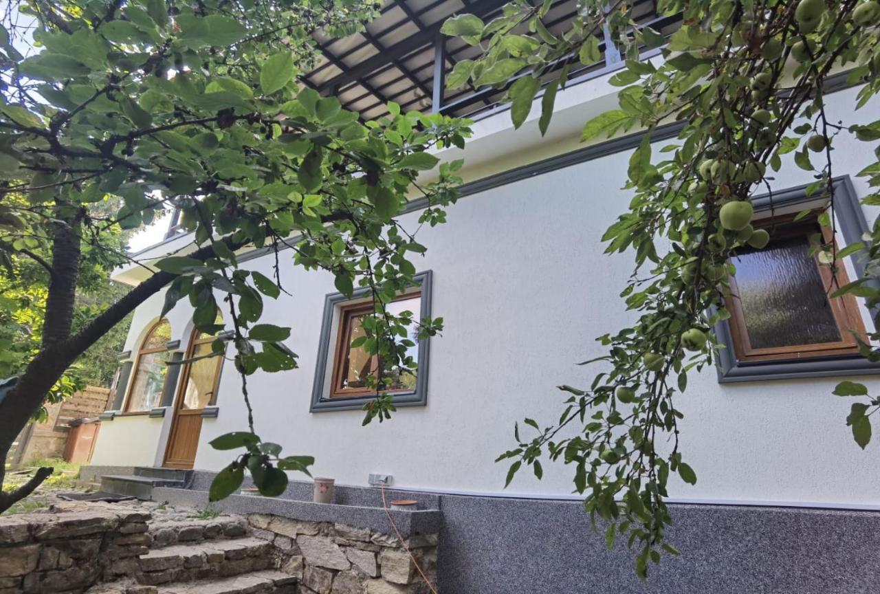 Hotel Vila Zia à Corbeni Extérieur photo