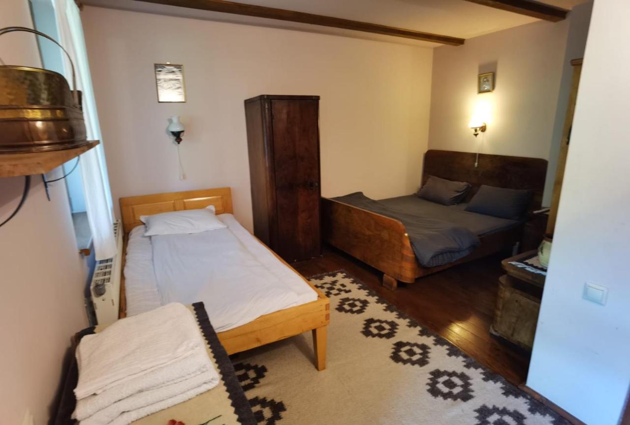 Hotel Vila Zia à Corbeni Extérieur photo